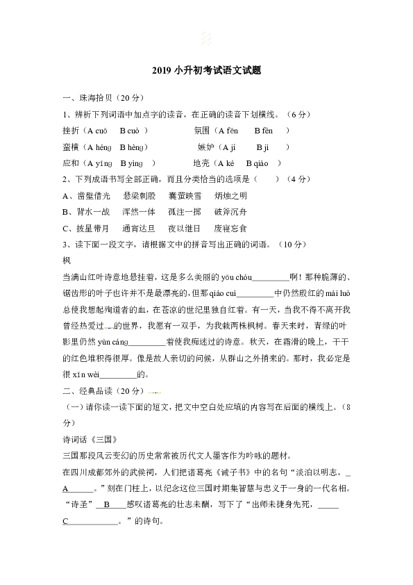 2019年小升初语文试题 (4)（含答案）