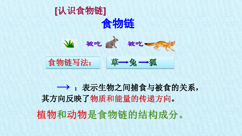 北师大版八年级生物上册：第十七章   生物圈中的动物  复习课件(共50张PPT)