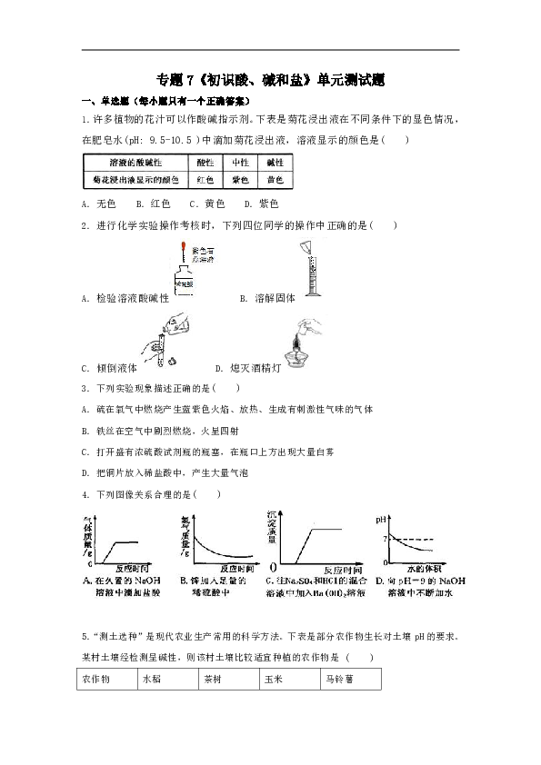 仁爱版初中化学九年级下册专题7《初识酸、碱和盐》单元测试题（解析版）