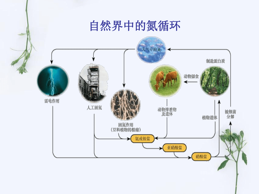 人教版高中化学选修二第一单元课题2人工固氮技术-合成氨教学课件共40张PPT （共40张PPT）