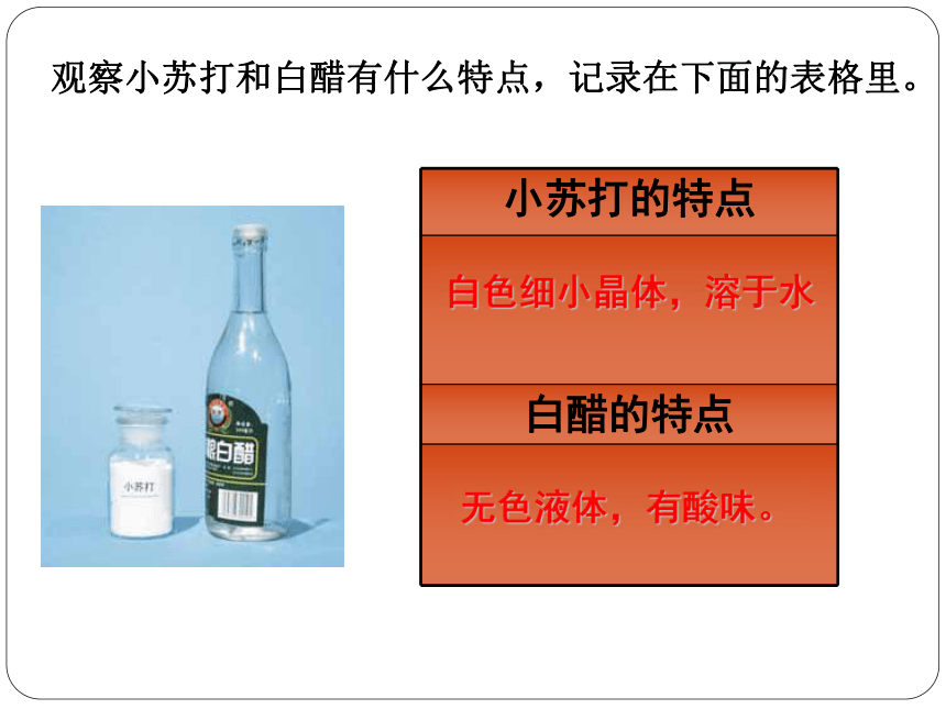 小苏打和白醋的变化   课件