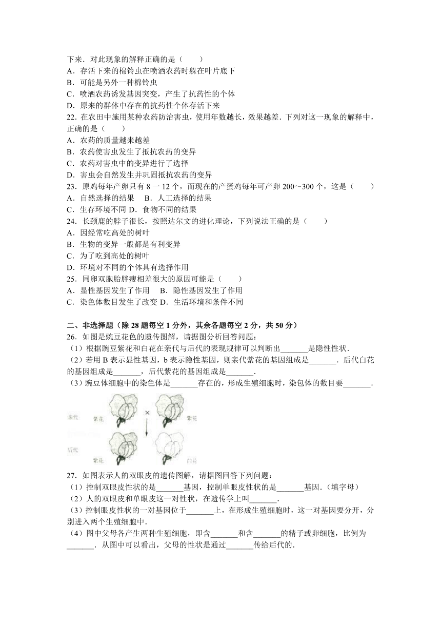 海南省海口市永兴中学2015-2016学年八年级（下）第三次月考生物试卷（解析版）