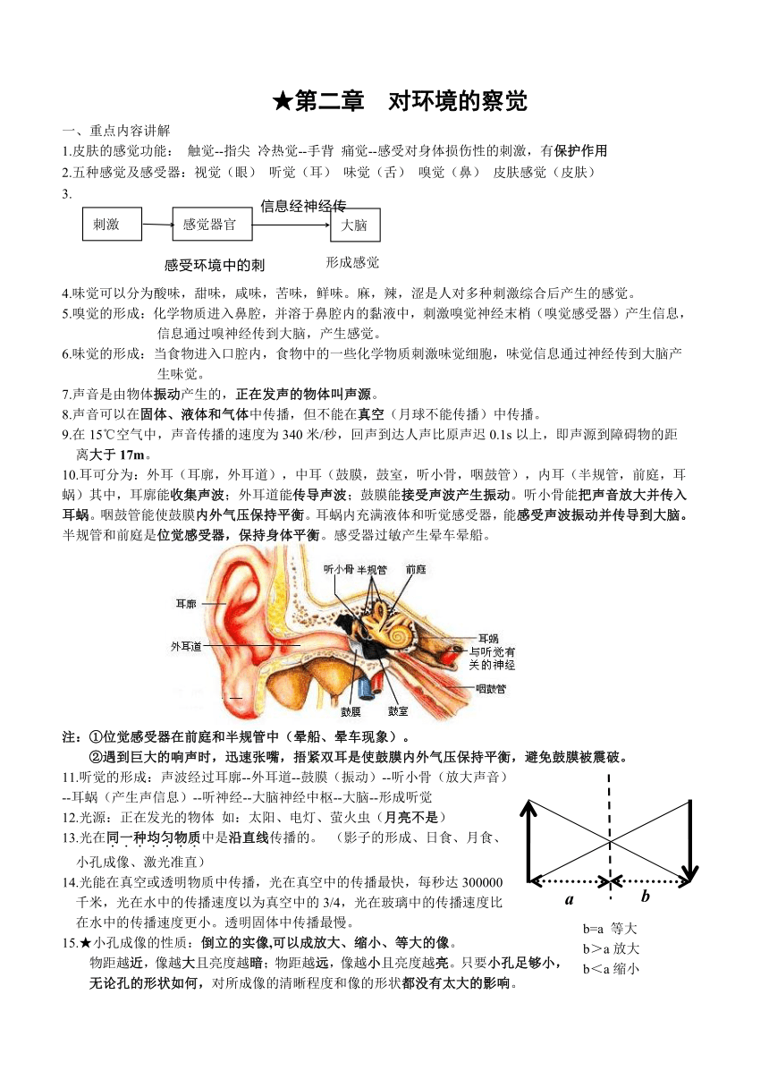 第2章 对环境的察觉 复习提纲