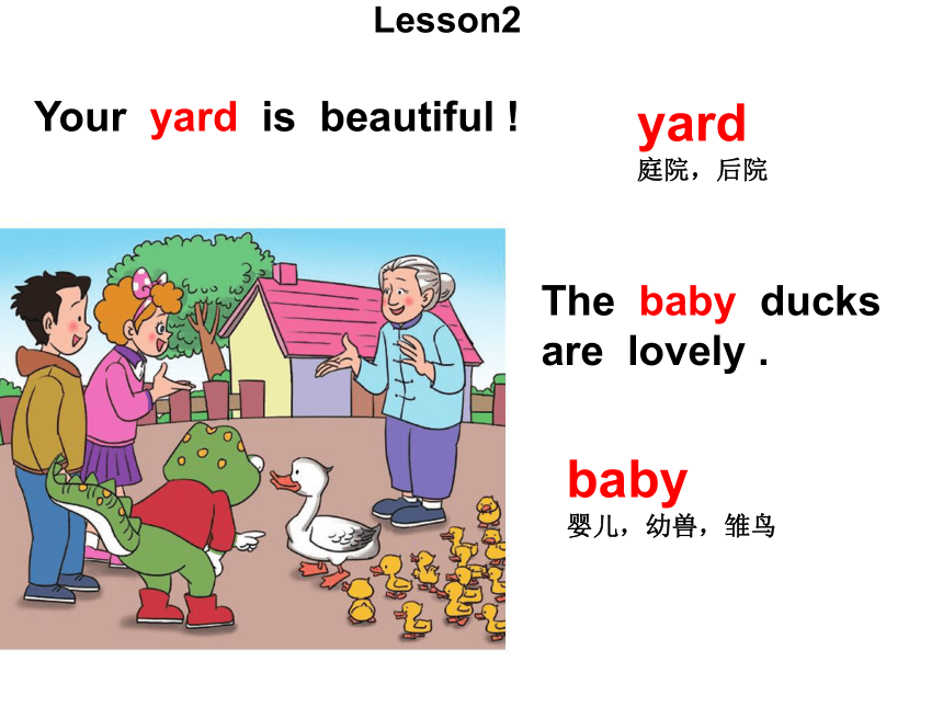 Lesson 2 How many ducks do you have? 课件+素材