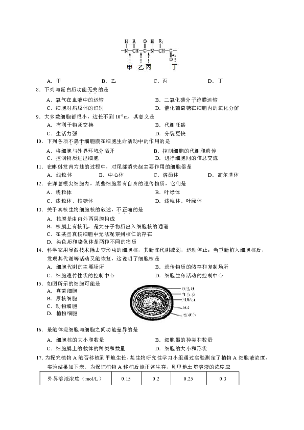 北京市石景山区2018-2019学年高一上学期期末考试生物试题