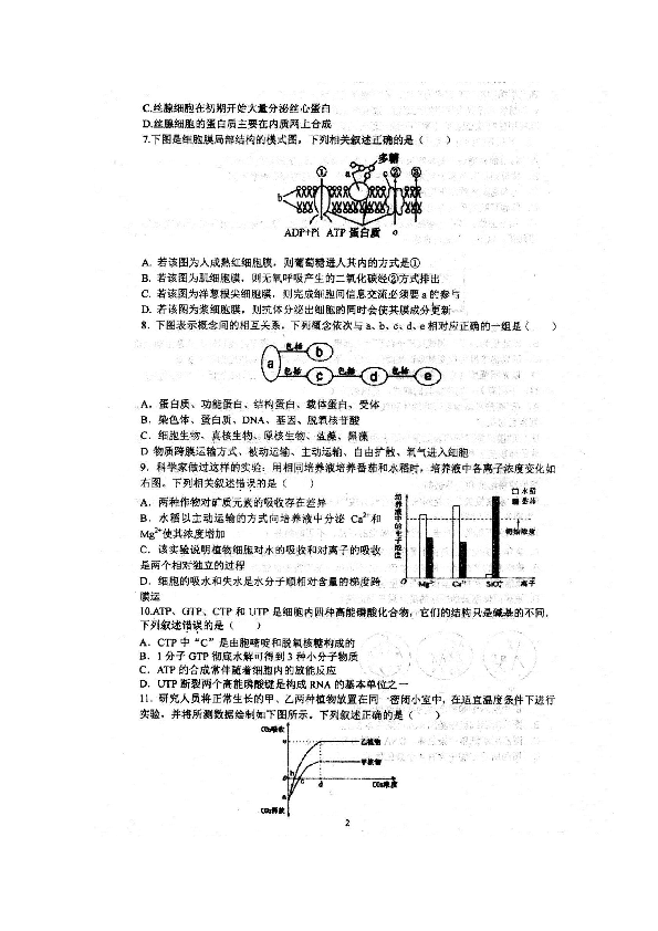 安徽省泗县一中2018-2019学年高二下学期期末考试生物试题 扫描版含答案