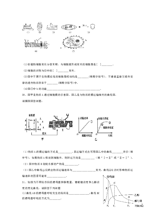 内蒙古通辽市科左后旗甘旗卡第二高级中学2020届高三9月月考生物试题