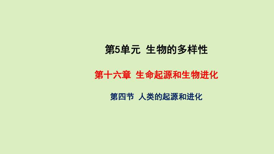 2020年秋苏教版八年级上册生物16.4 人类的起源和进化 课件(共31张PPT)