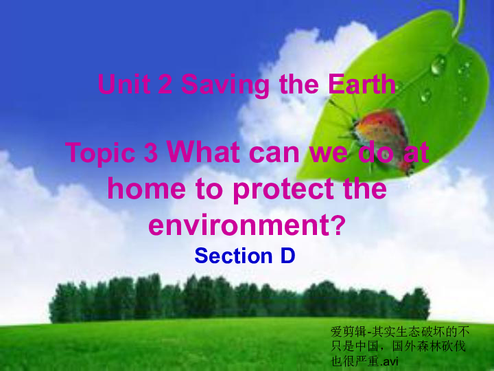Topic 3 What  can we do to protect the environment? Section D课件25张PPT