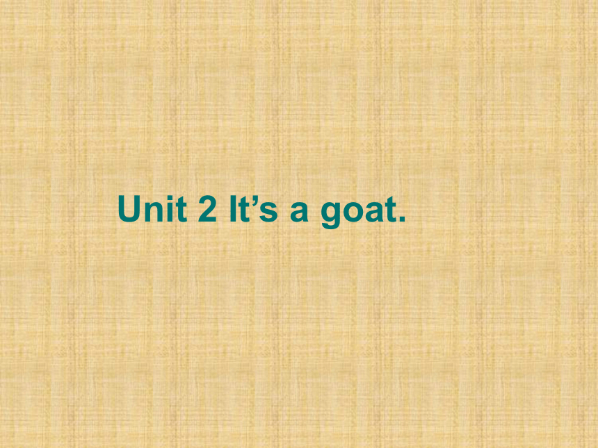 Unit 2 It's a goat 课件