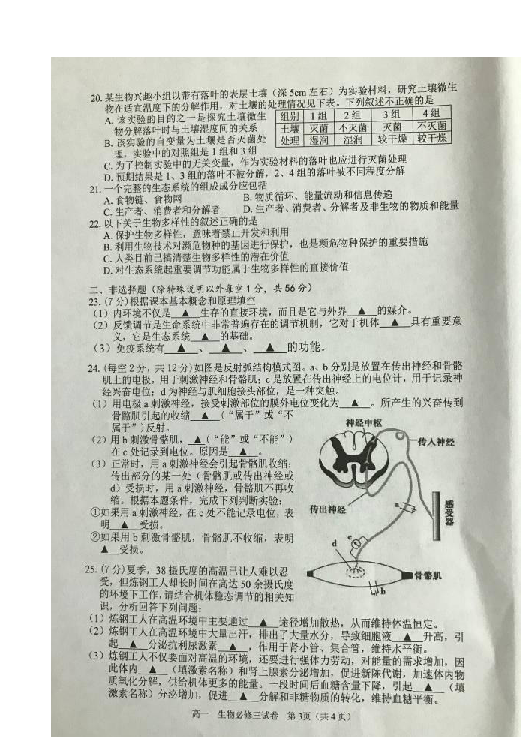 湖南省桃江县2018-2019学年高一下学期期末考试生物试题 扫描版