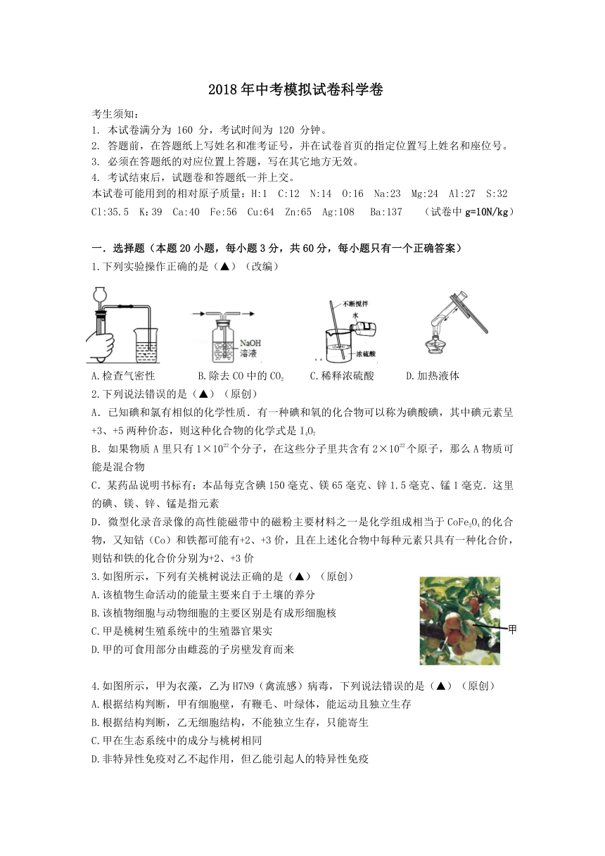 2018年杭州市各类高中招生文化模拟考试科学试题7