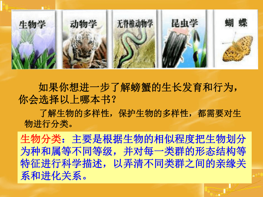 尝试对生物进行分类 课件22张PPT