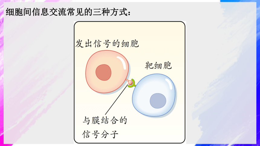 细胞间信息交流方式图图片