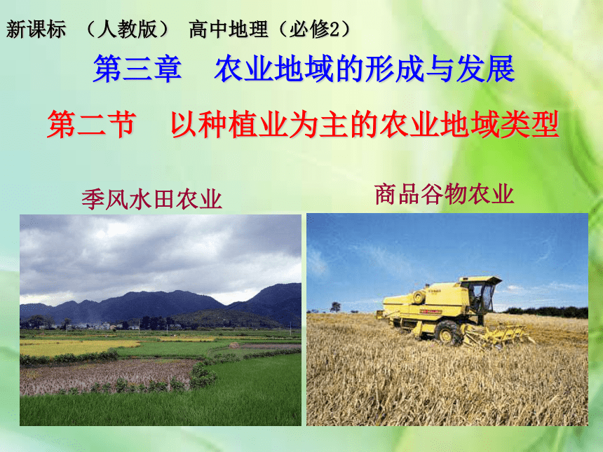 3.2以种植业为主的农业地域类型  课件 (2)