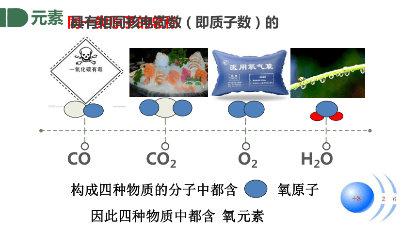 第三章第2节 组成物质的化学元素（共24张PPT）
