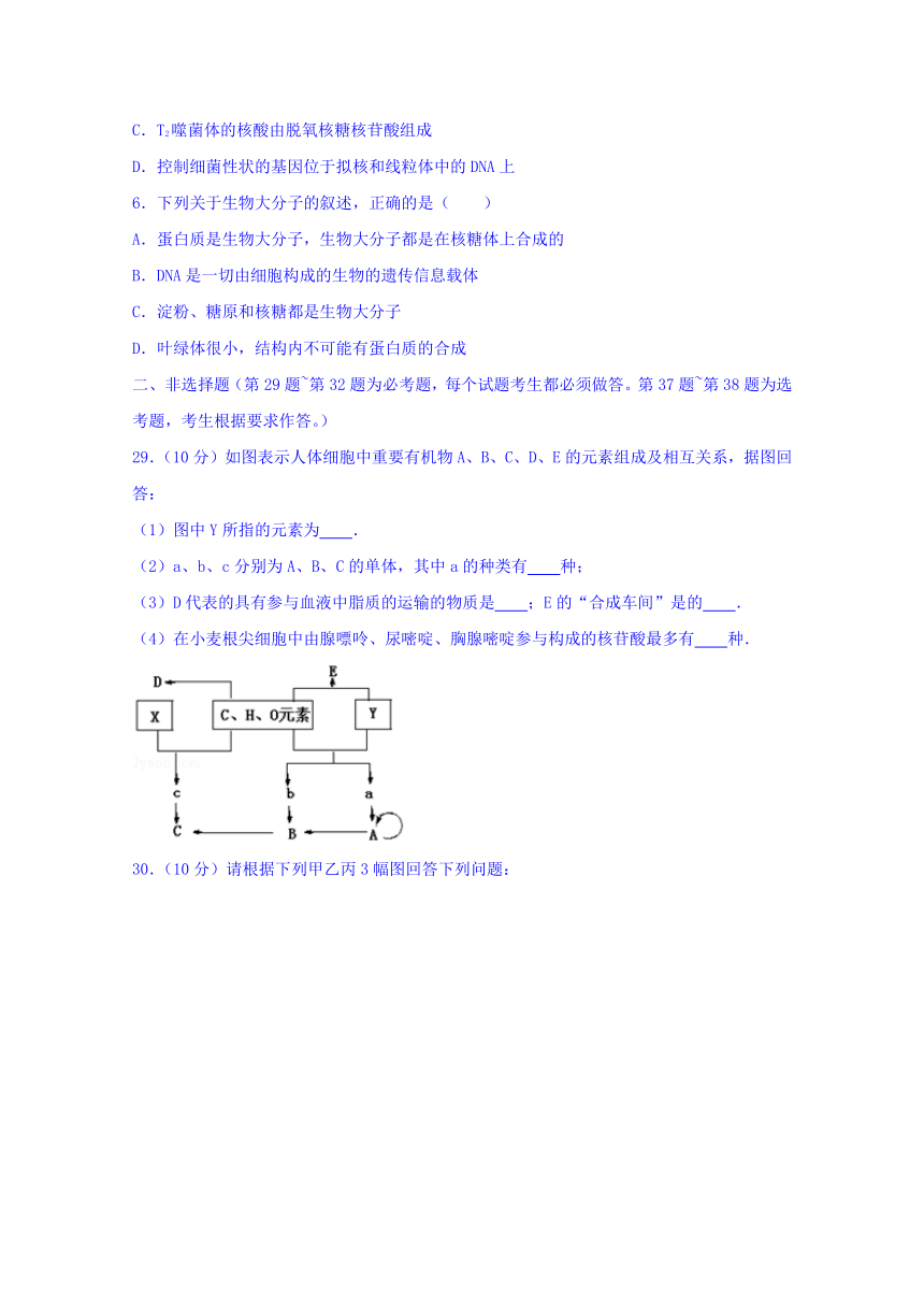 广东省清远市第一中学实验学校2017届高三第一次模拟考试理科综合-生物部分试题 Word版