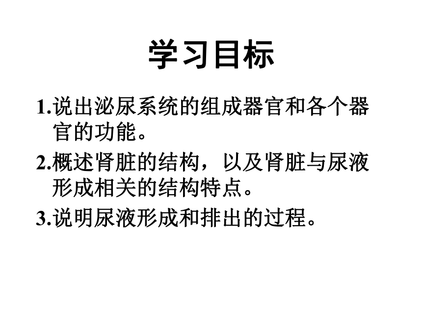 11.2 尿的形成与排出 课件