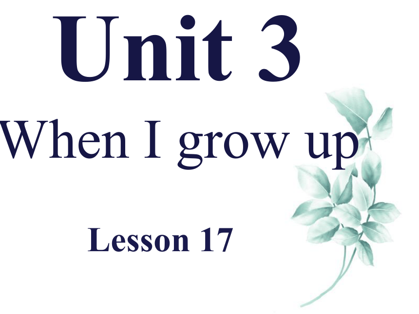 Unit 3 When I grow up Lesson 17 课件