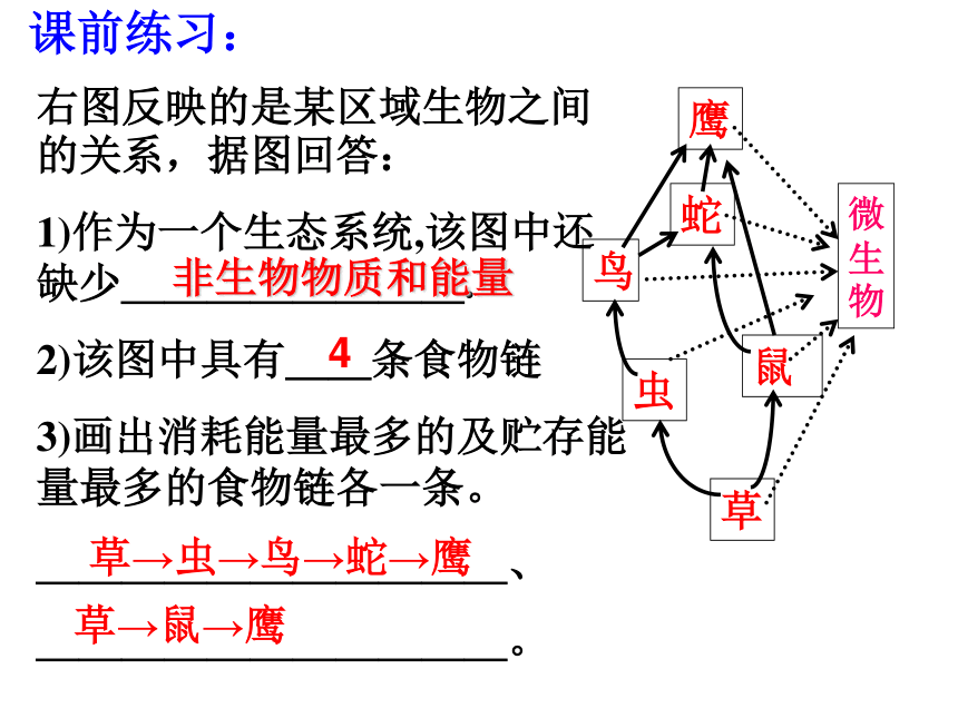 第4节 生态系统的结构和功能（第3课时）