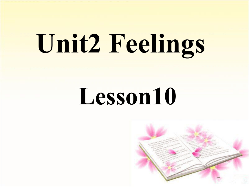 Unit 2 Feelings Lesson 10 课件