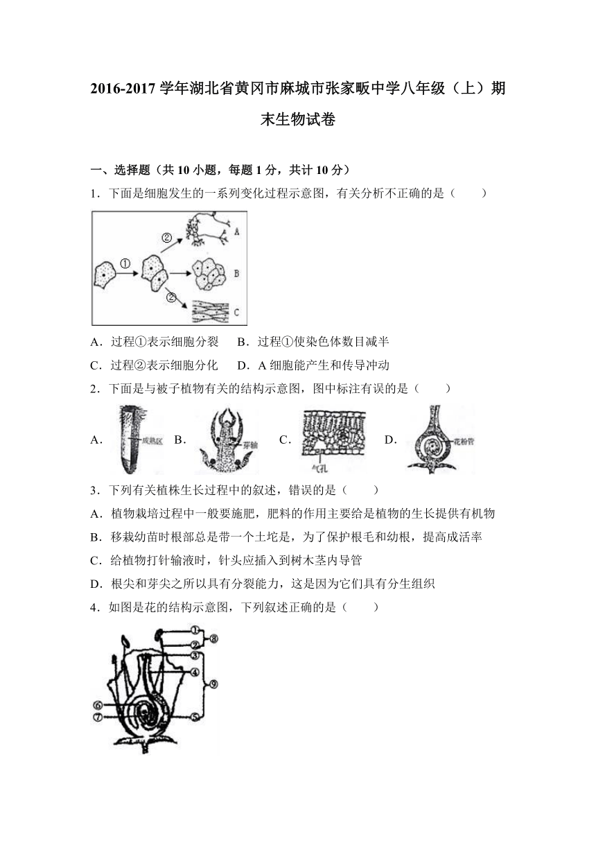 湖北省黄冈市麻城市张家畈中学2016-2017学年八年级（上）期末生物试卷（解析版）