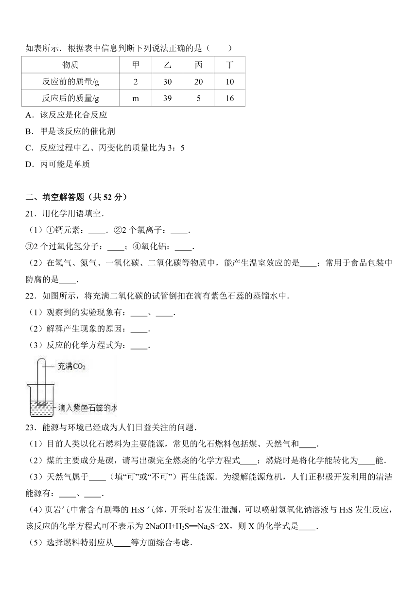 安徽省芜湖市2016-2017学年九年级（上）期末化学试卷（解析版）