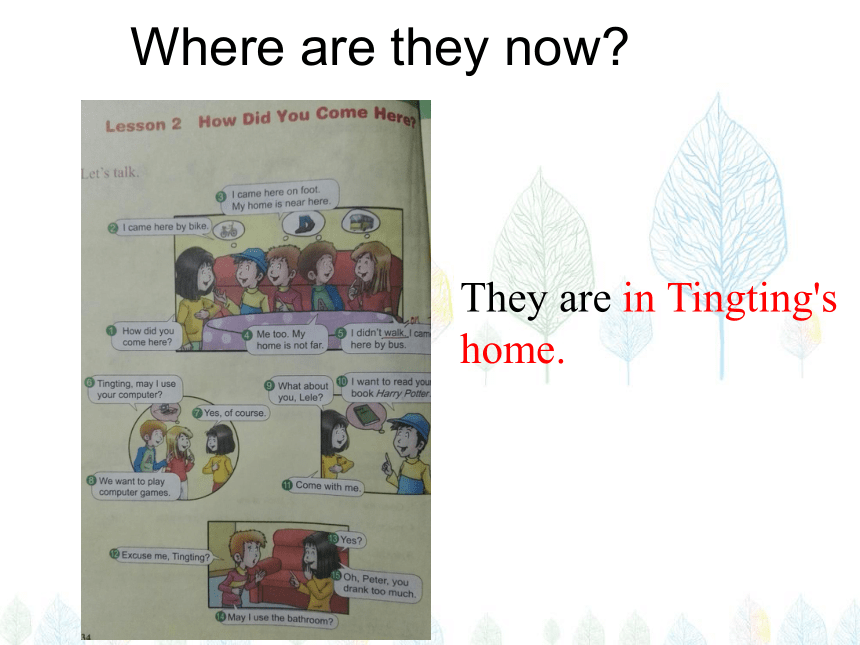 Lesson 2 How did you come here?  课件