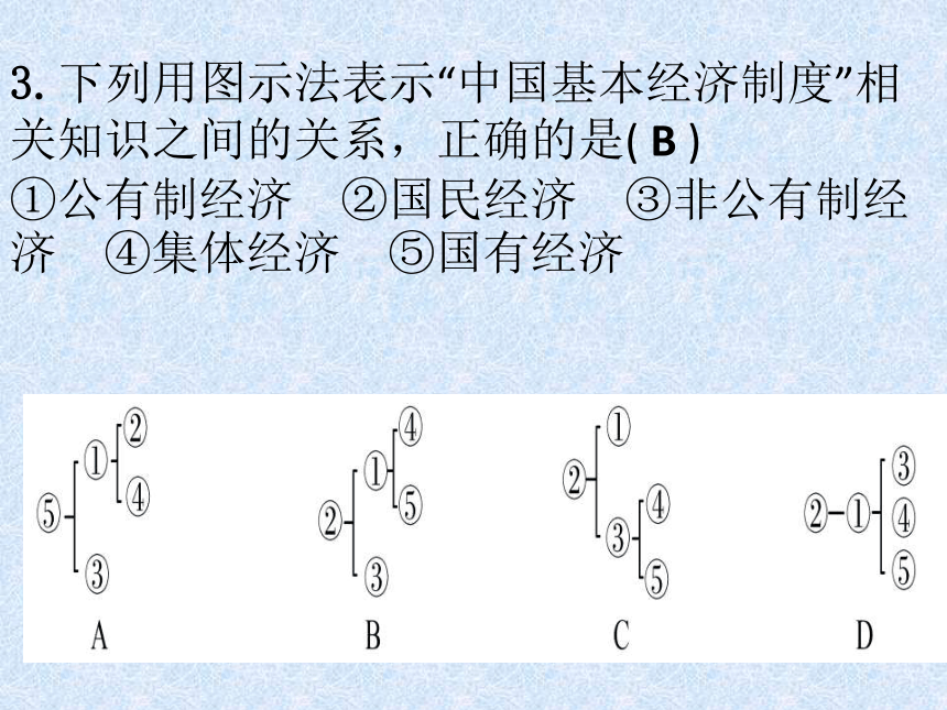 部编八下道德与法治第三单元人民当家作主单元练习题课件 (共30张PPT)