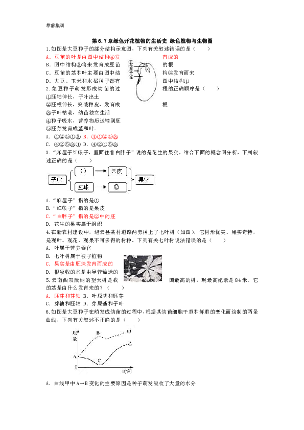 考前集训第三单元生物圈中的绿色植物第6.7章绿色开花植物的生活史 绿色植物与生物圈试题
