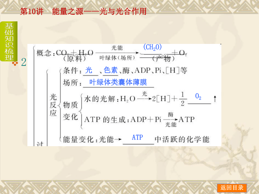 【新课标人教通用，一轮基础查漏补缺】第10讲 能量之源——光与光合作用 （73ppt）