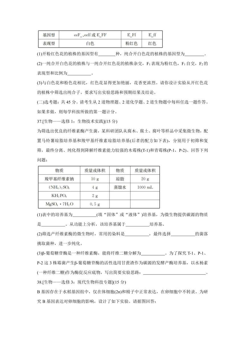 广西北海市2021—2022学年高三上学期第一次模拟考试生物 （word版含答案）