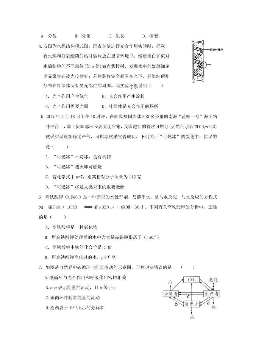 台州市2017年九年级下学期科学模拟试卷（三）