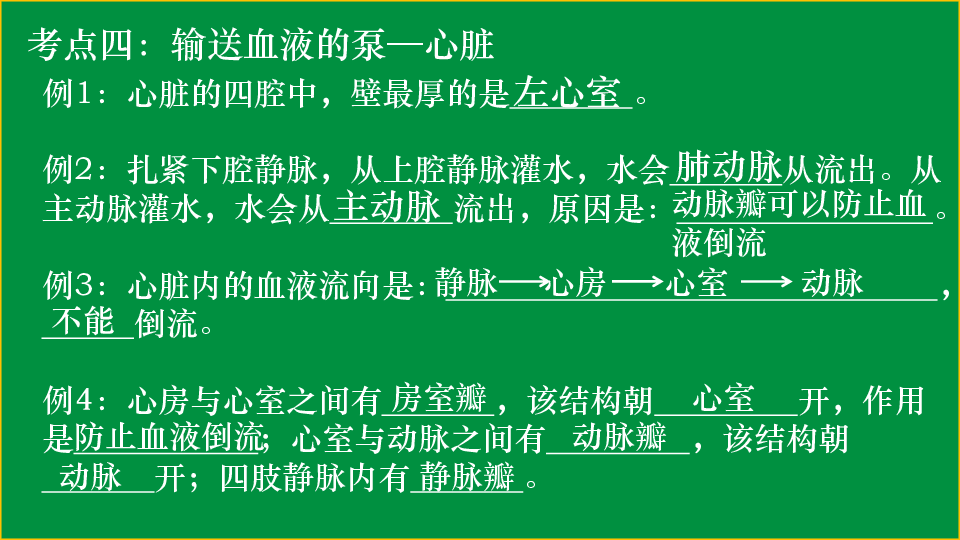 中考复习：专题　人体内物质的运输 课件（32张ppt）