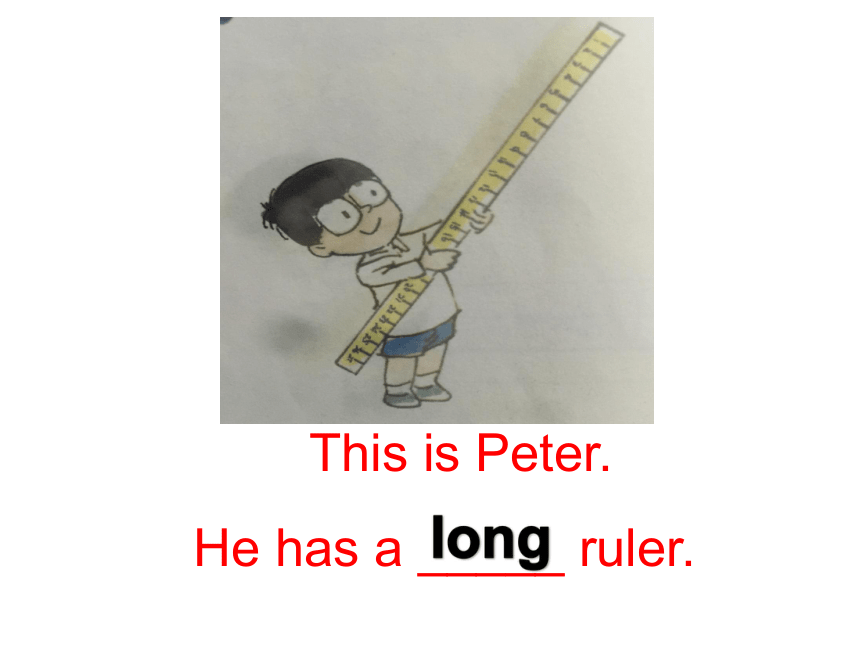 Lesson 12 Tom has a short ruler 课件