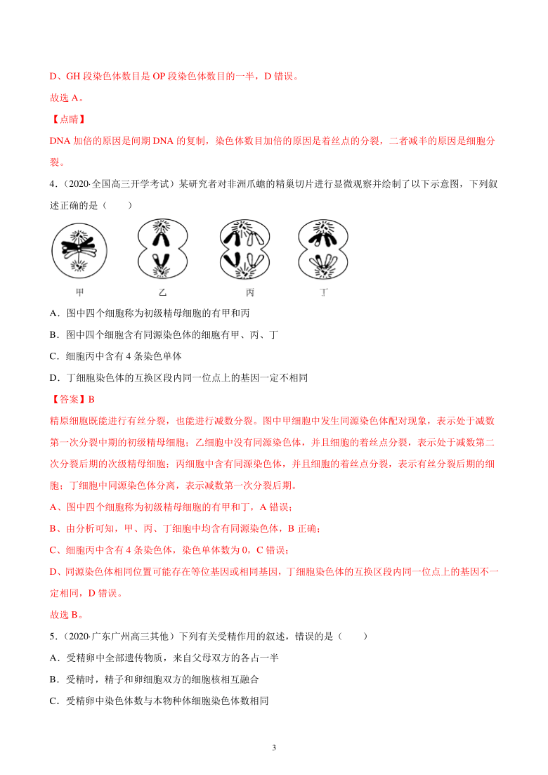 高三生物新题专项汇编：考点09 遗传的细胞基础（解析版）