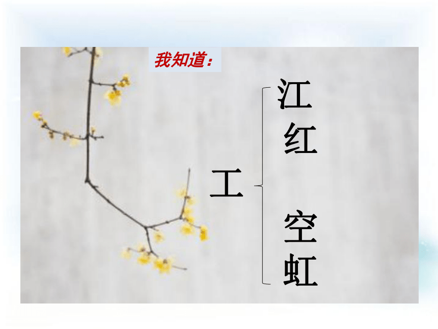 苏教版小学语文二年级上册（2017）教学课件：练习5