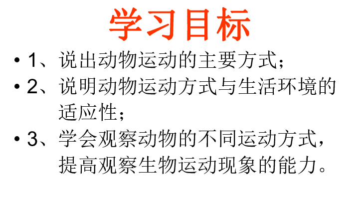 动物的运动方式课件(共31张PPT)