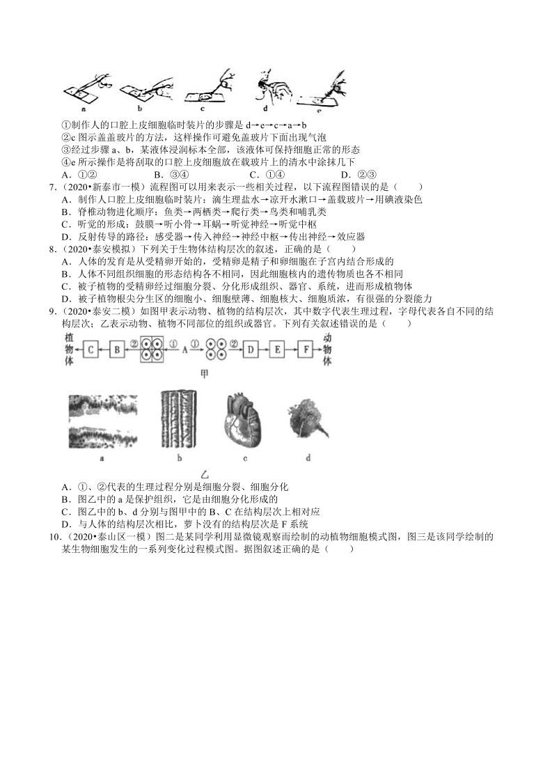 2018-2020年山东中考生物各地区模拟试题分类（泰安专版）（1）——生命的结构层次（word版含解析）