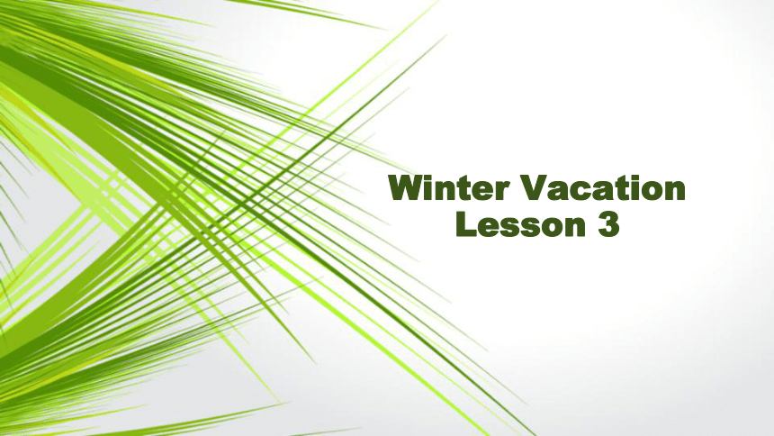 Unit 6 Winter Vacation  Lesson 3 （16张PPT）