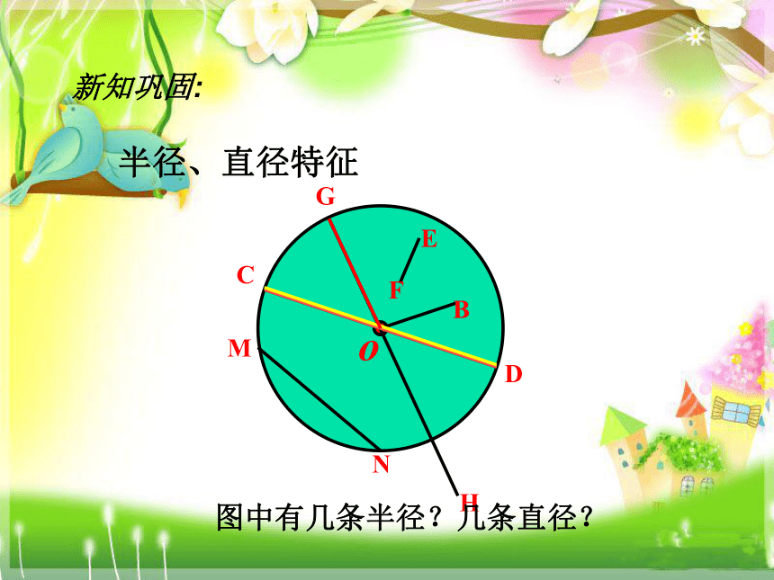 数学六年级上北师大版1.5圆的面积二课件（30张）