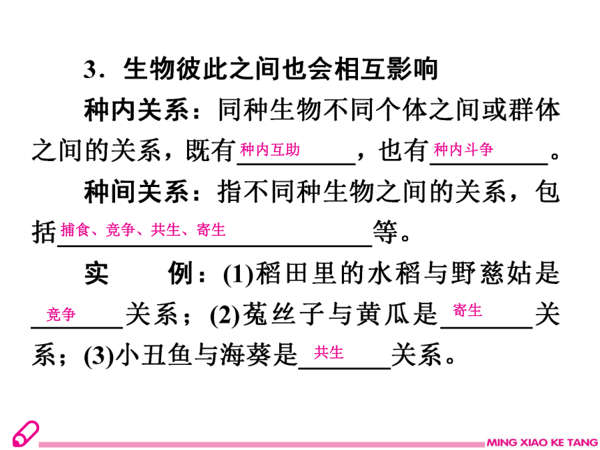 2019年秋八年生物北师大版下册课件：23.1生物的生存依赖一定的环境22张PPT