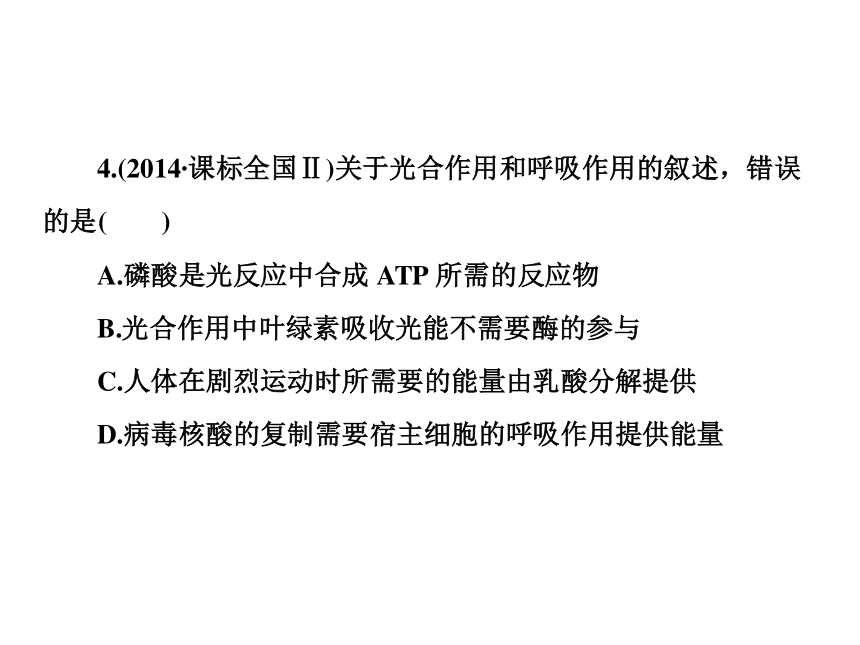 2018年高考生物二轮复习专题4光合作用与细胞呼吸课件(170张PPT)