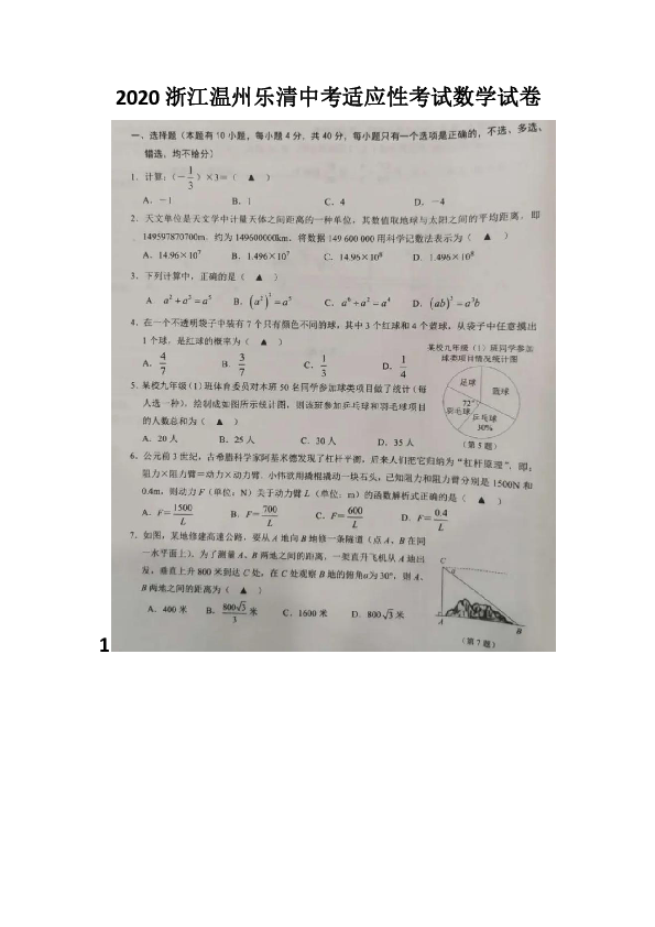 2020年浙江省温州乐清市中考适应性考试数学试卷（图片版无答案）