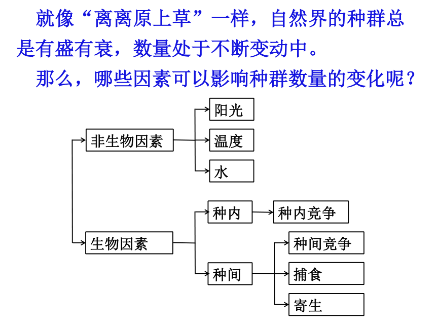 人教2019高中生物選擇性必修二13影響種群數量變化的因素課件36張