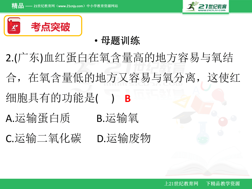 2018年广东省生物会考七年级下册复习课件 第四章（课件）