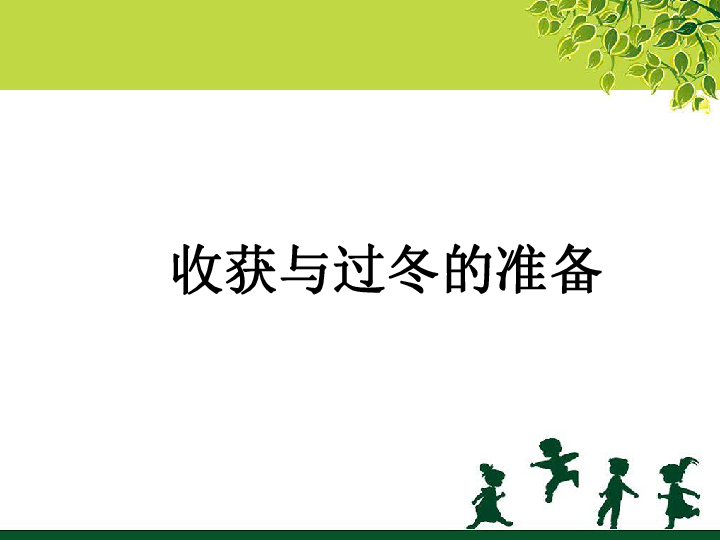 三年级上册科学课件-《收获与过冬的准备》课件1北京版(共22张PPT)