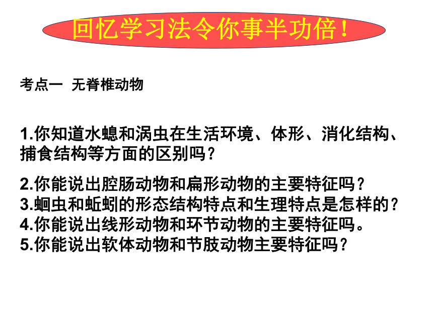 人教版八年级上册生物第五单元第1章动物的主要类群复习课件 （共22张PPT）