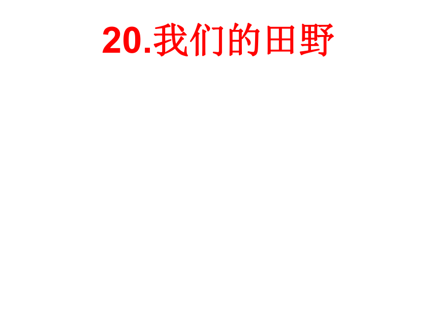 语文一年级下北京版7.20《我们的田野》课件