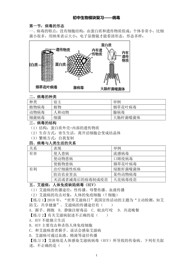初中生物模块复习（八上4）——病毒
